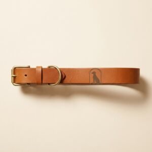 full grain leather collar — Propteries Pet Co.